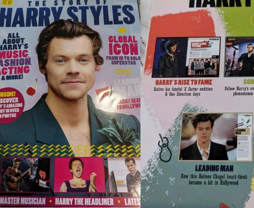 The story harry - the, of