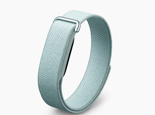 Google fitbit air - air,