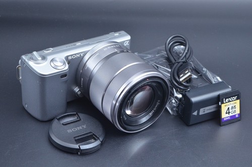 Fotocamera mirrorless argento