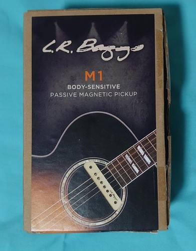 Baggs pickup passivo - lr,