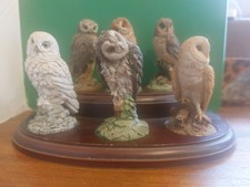 Vtg 1994 Royal Doulton 6 Owl Figurines On Wooden Stand Collectable British Birds