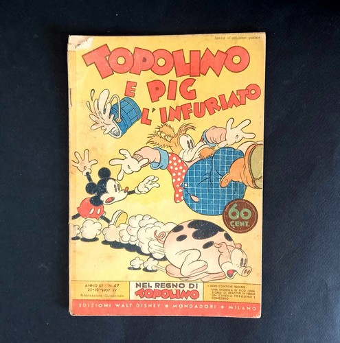 Regno topolino pig - 47,