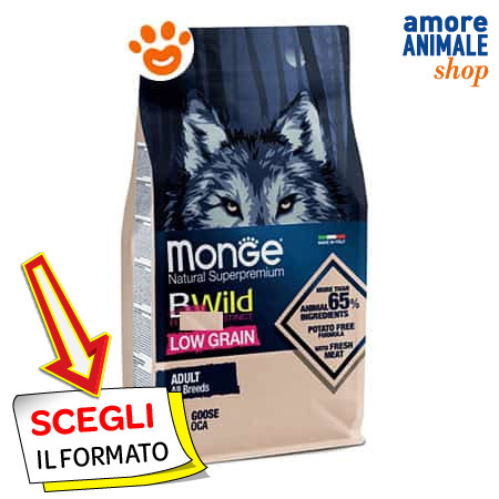 Monge dog bwild - dog,
