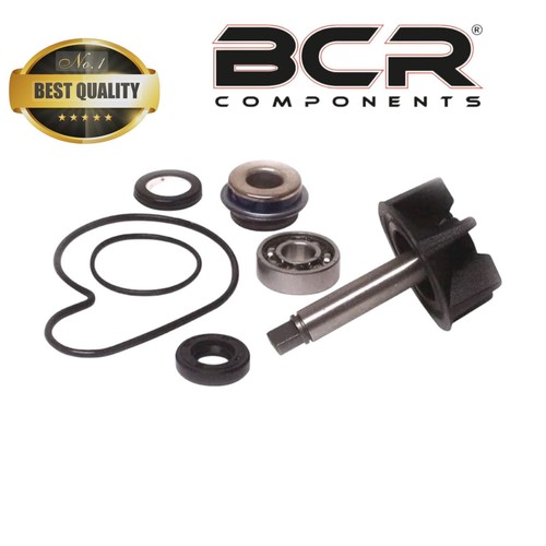 Kit revisione pompa acqua - revisione,