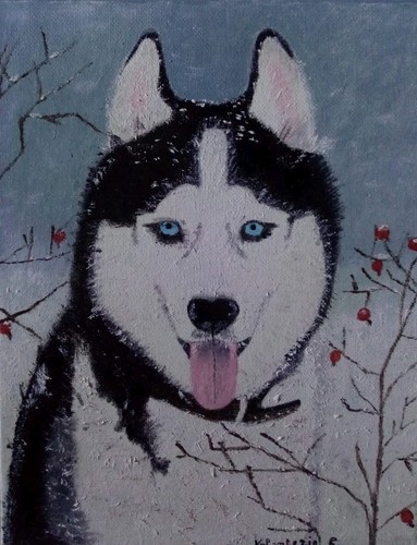 Dipinto cane husky olio su - dipinto,