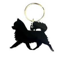 Cane Chihuahua Lungo Cappotto