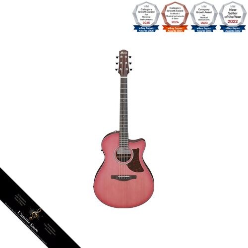 Ibanez advanced auditorium - advanced,