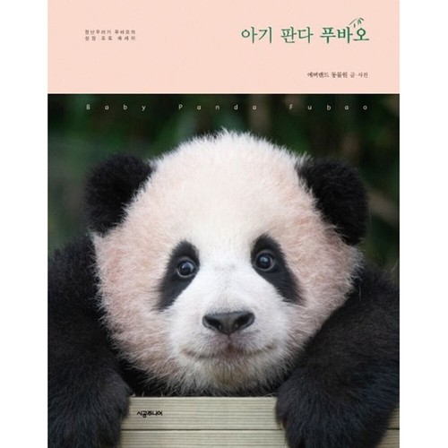 Baby panda fubao 아기 - panda, 판다