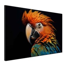 Quadro moderno stampa - su, tela