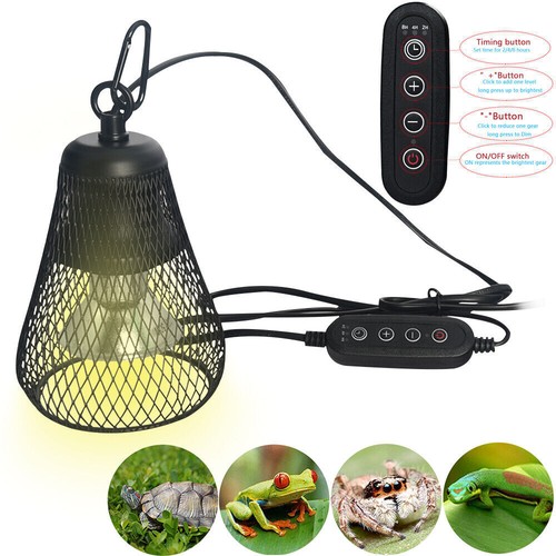 Lampada termica rettile 50w - lampada,