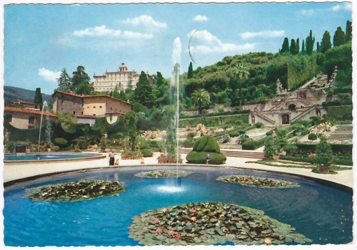 Collodi pistoia storico - pistoia,