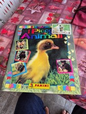 Piccoli degli animali baby - degli,