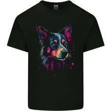 An Stupenda Border Collie Cane