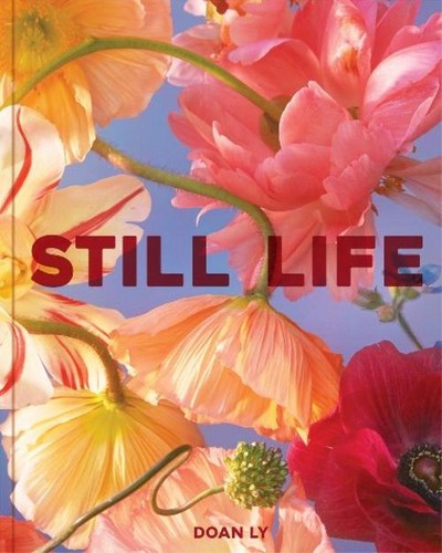 Still life doan - life, ly