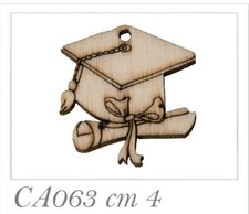 12 PEZZI Tocco Laurea in legno