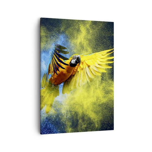 Quadro tela 50x70cm - su,