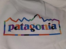 Patagonia Unity Fitz Uprisal