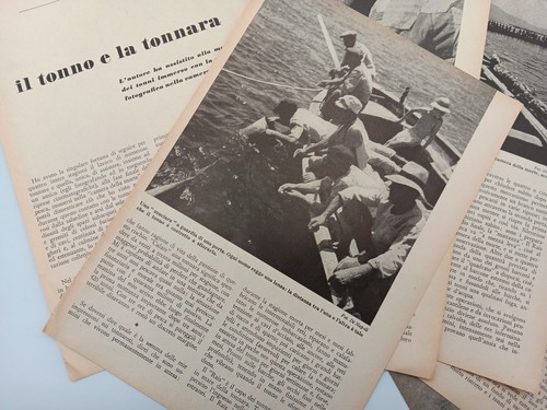 Clipping ritaglio articolo - clipping,