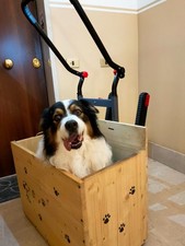 CARRELO ELETTRICO MONTASCALE PER CANI DISABILI