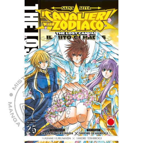 Saint seiya i cavalieri - saint,