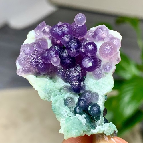 Agata uva viola - d'uva, 19g
