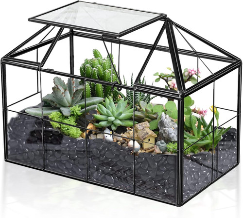 Terrario vetro per - vetro,