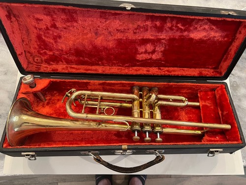 Tromba senatore amati - amati, kraslice