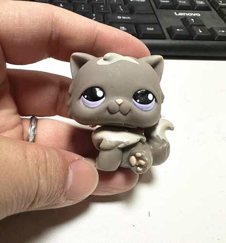 Lps 973 gatto persiano grigio - 973,