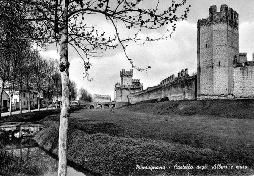 Montagnana castello degli - montagnana,