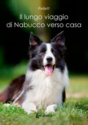 Lungo viaggio nabucco - viaggio, di