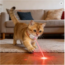 Giochino gatto laser - giochino,