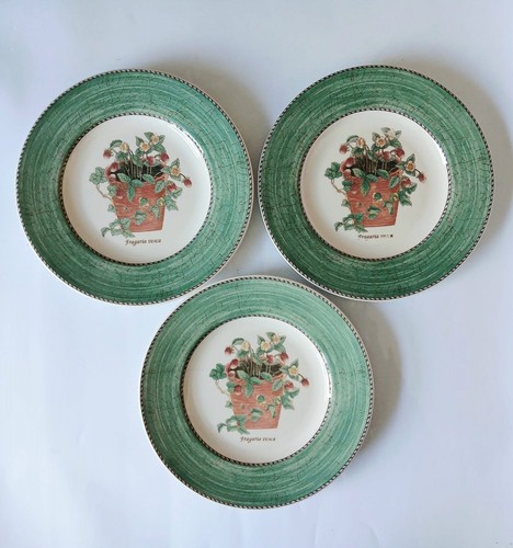 Wedgwood piatti per insalata - wedgwood,
