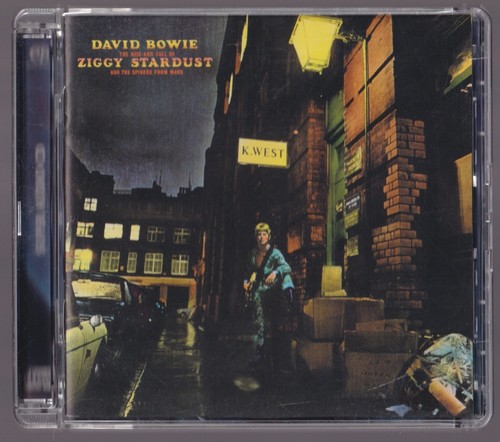 David bowie the rise - the,