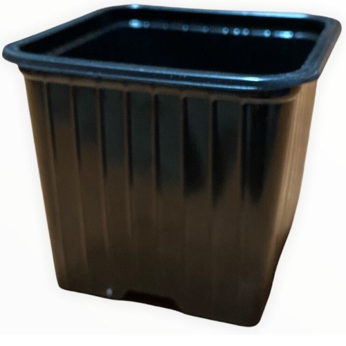 Vasi plastica neri - , quadrati