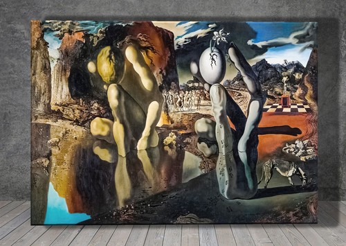Salvador dalì metamorfosi - salvador, di
