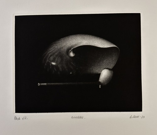 Alberto rocco gambier - -,