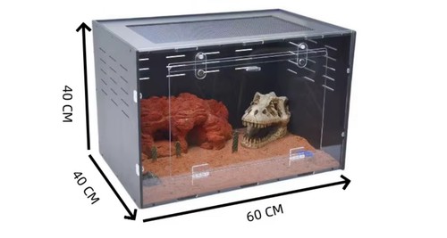 Terrario x 40 - x,