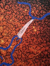 Marina Abramovic Untitled