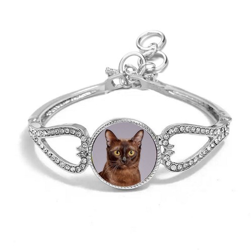 Burmese cat pet silver - cat,