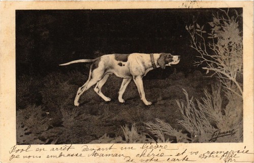 Cpa deutsch kurzhaar dogs - kurzhaar,