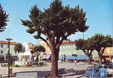 Mede Lomellina(Pavia)-Piazza