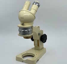 Wild Heerbrugg M4A microscopio
