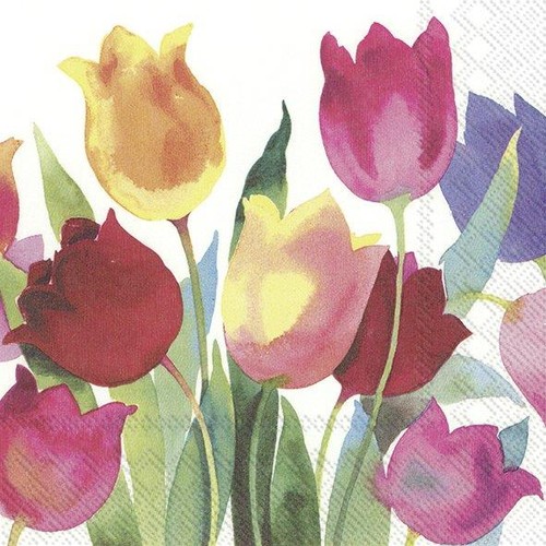 Ihr spring bright potenti - ihr,