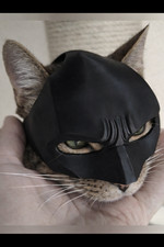 Maschera di batman per gatto