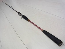 Asta Daiwa Saltist Extreme Bay