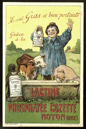 Dorfi lactine phosphatée - dorfi.,