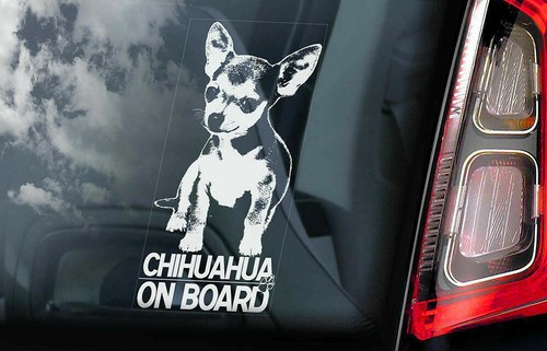 Adesivo auto chihuahua cane - adesivo,