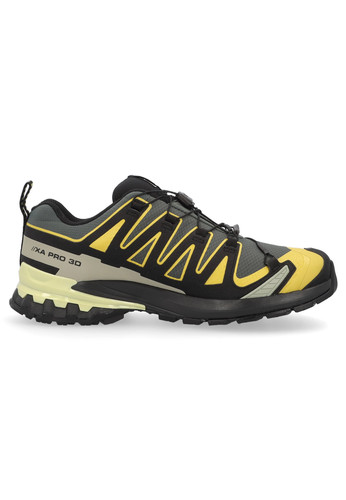 Salomon pro gtx men - 3d,