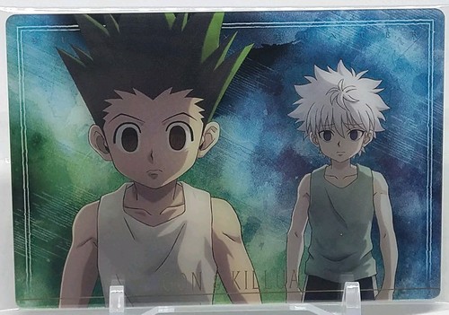 Carta gon killua - carta, hunter