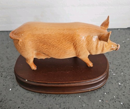 Royal doulton tamworth pig - tamworth,